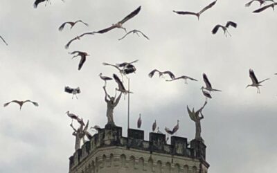 Nouvelles et agenda – Septembre 2025